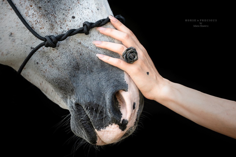 ANGRY FOR HORSE IS PRECIOUS